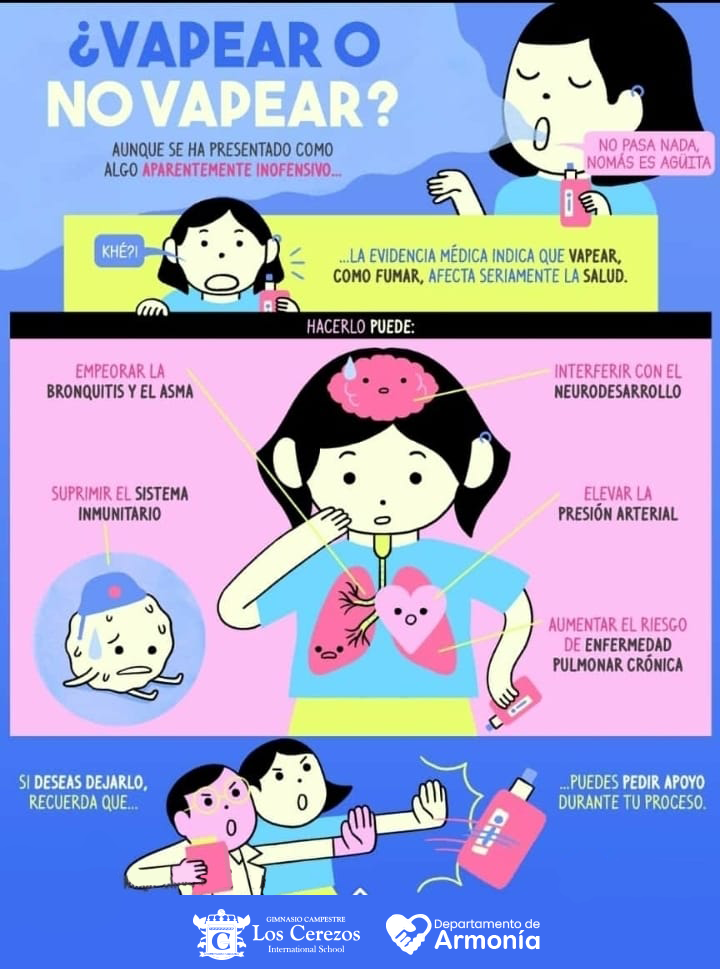 Portada de Proyecto 15