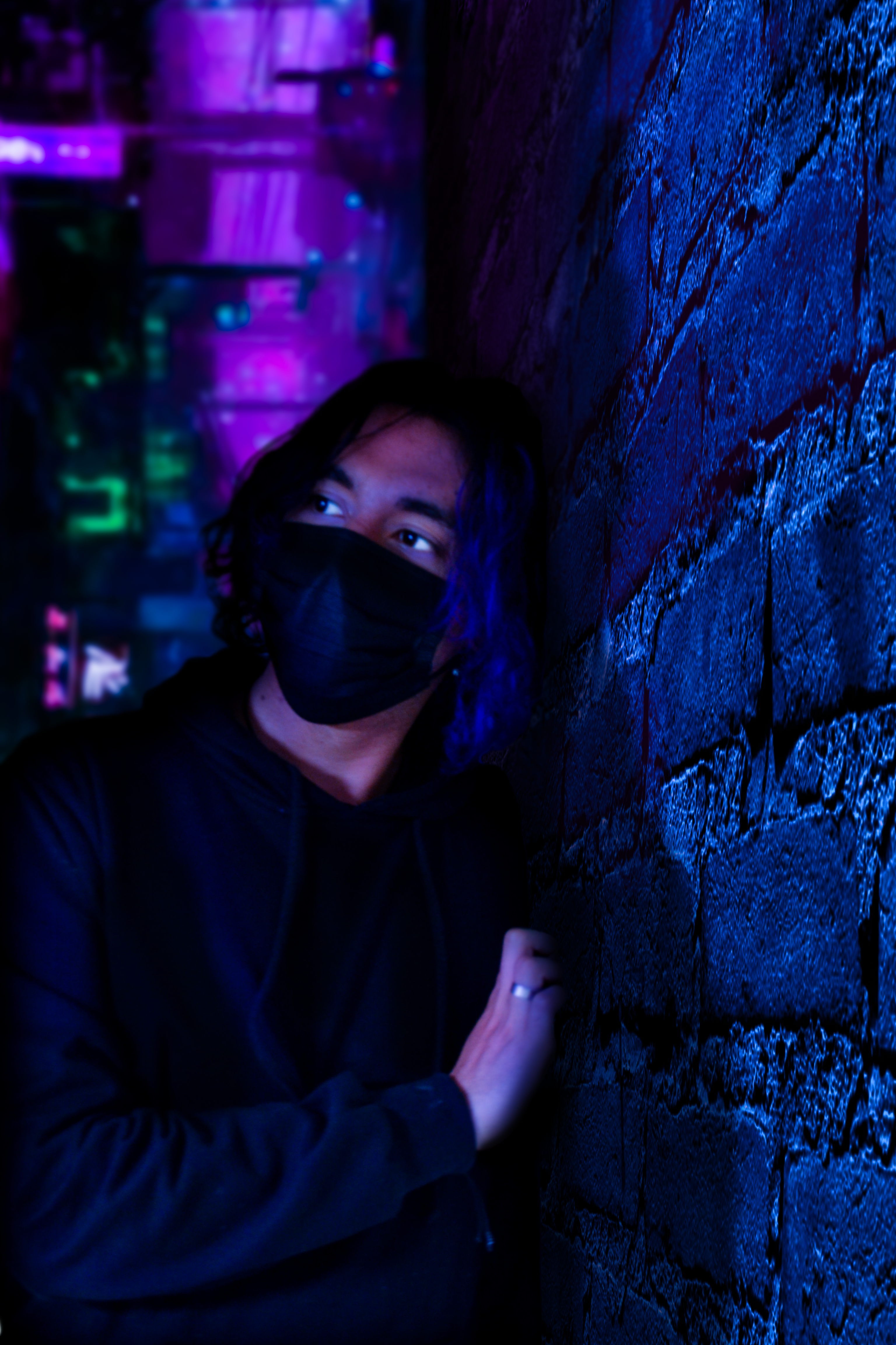 Portada de Proyecto 5