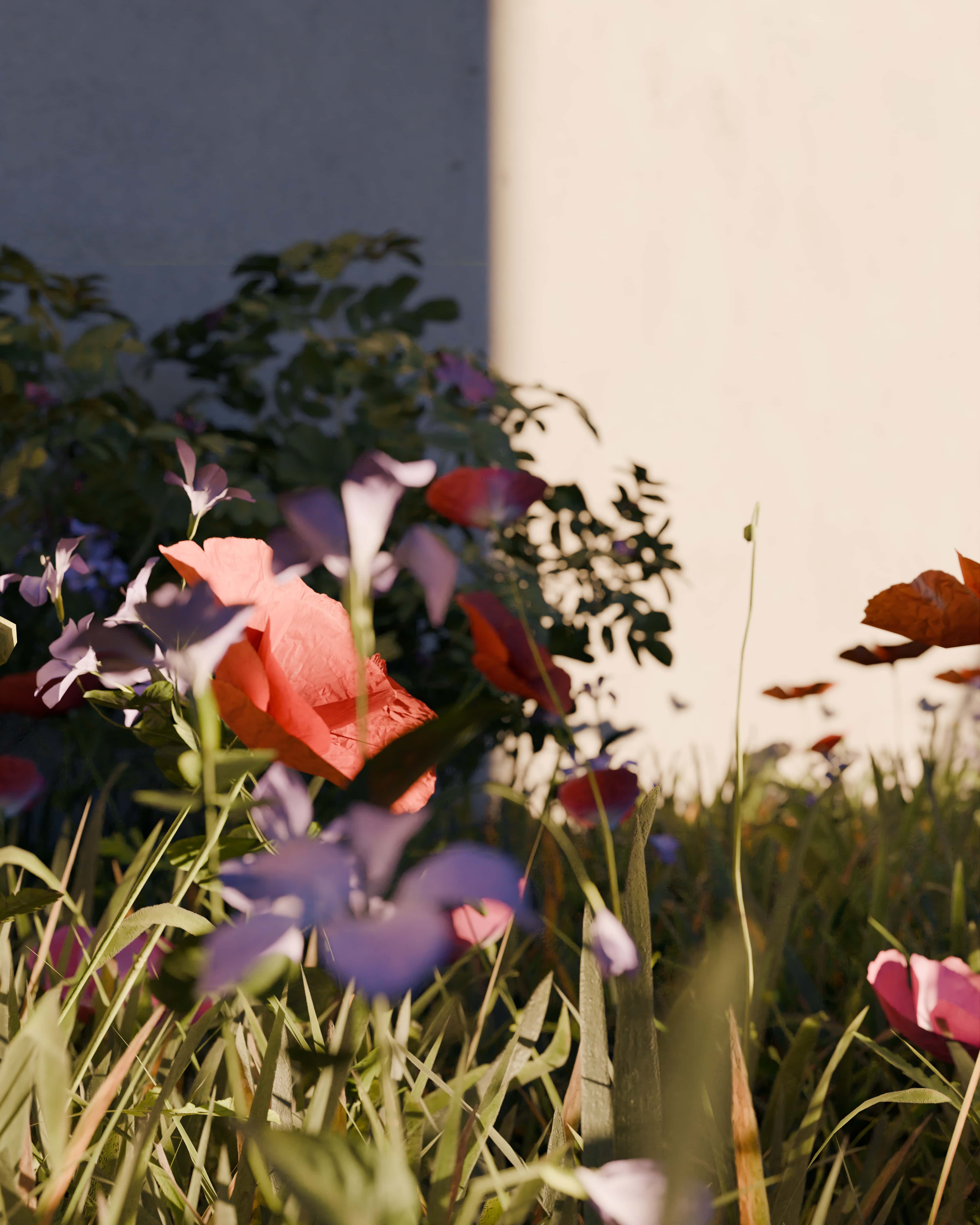 Render 1 del Producto